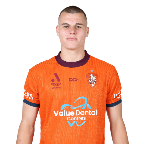 Justin Vidic Icon