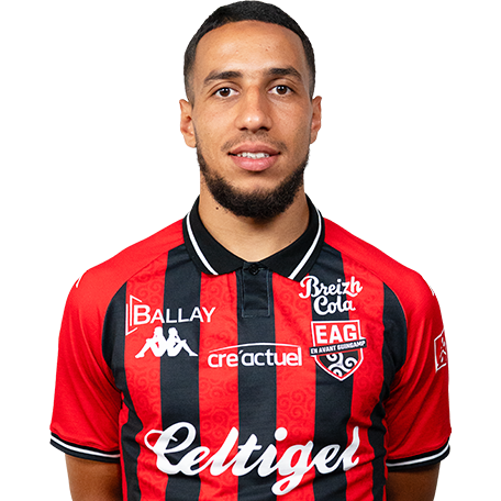 Amine Hemia Icon