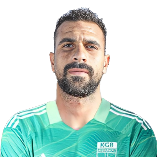 Mohamed Alaa Icon