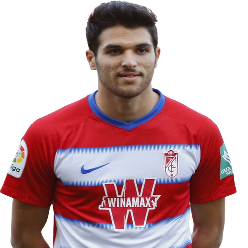 Antoñín Icon