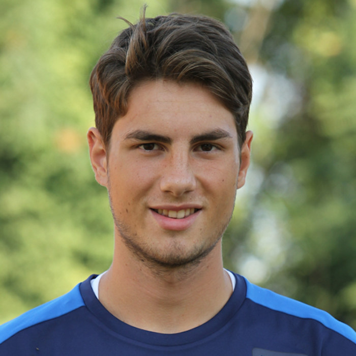Marco Varnier Icon