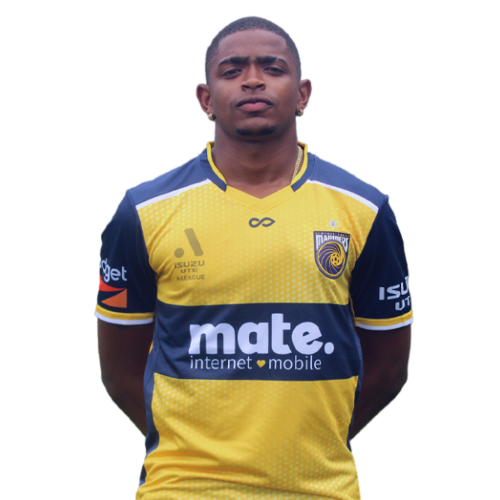 Ronald Barcellos Icon
