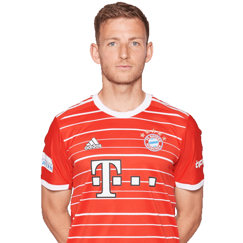 Timo Kern Icon