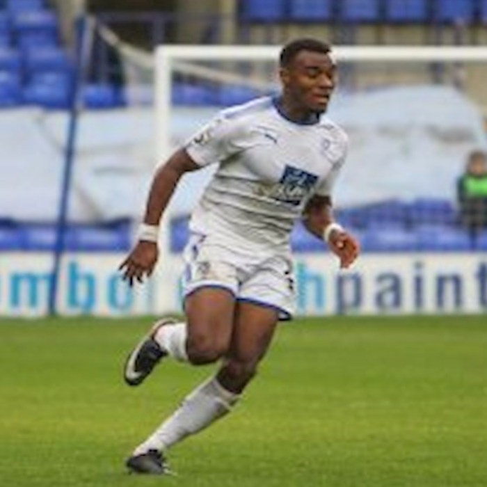 Dylan Mottley Henry Icon