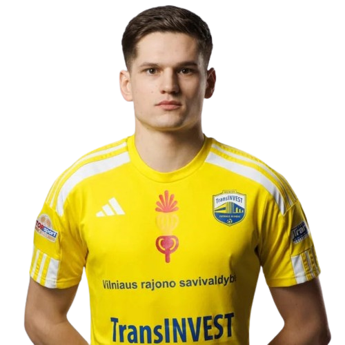 Deividas Malžinskas Icon