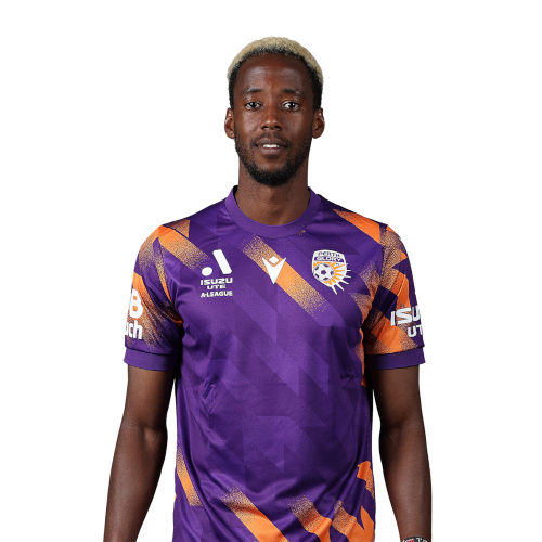 Bruce Kamau Icon