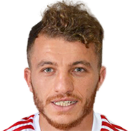 Ziya Erdal Icon
