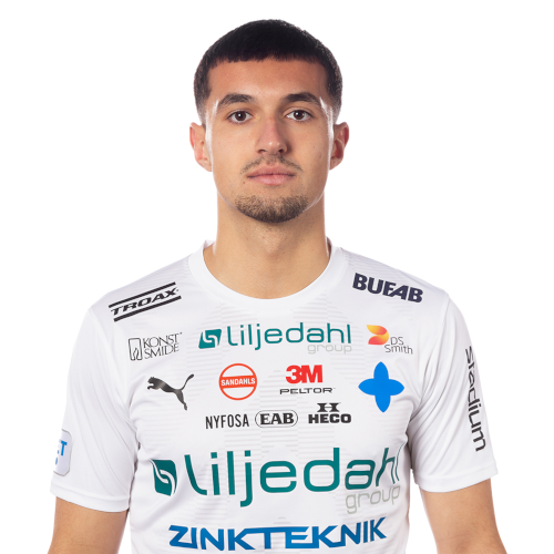 Emin Hasić Icon