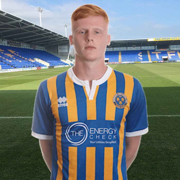 Ryan Haynes Icon