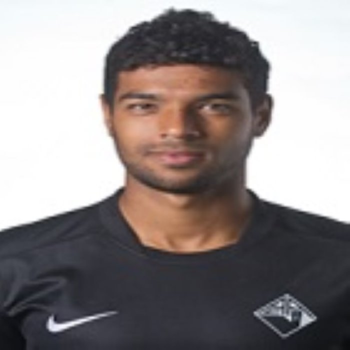 Lucas Mineiro Icon