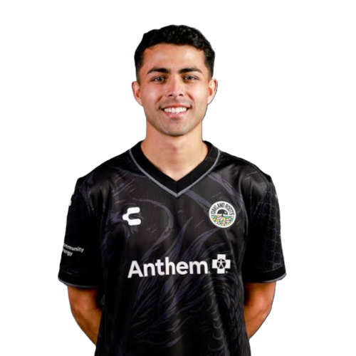Julian Bravo Icon