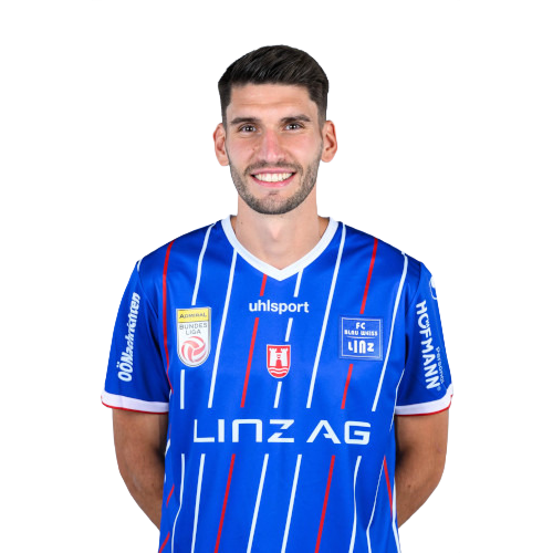 Alem Pašić Icon
