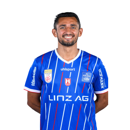 Ronivaldo Sales Icon