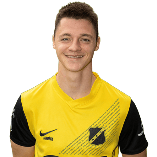 Dominik Janosek Icon