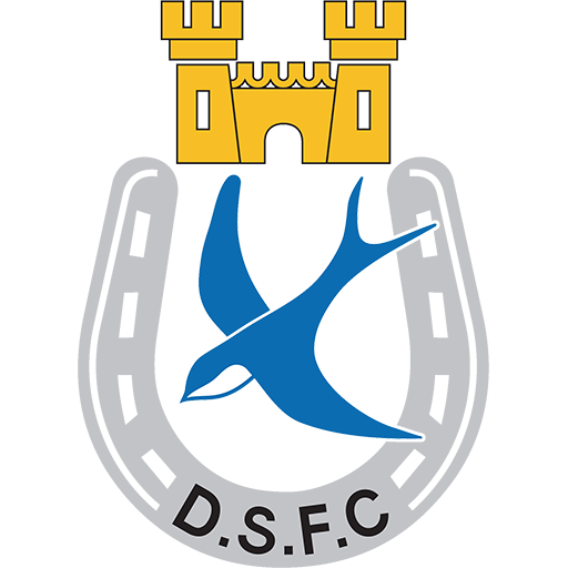 Dungannon Swifts Icon