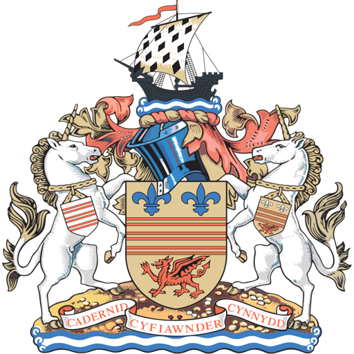 Barry Town United Icon