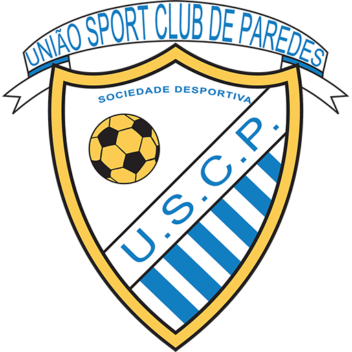 Paredes Icon