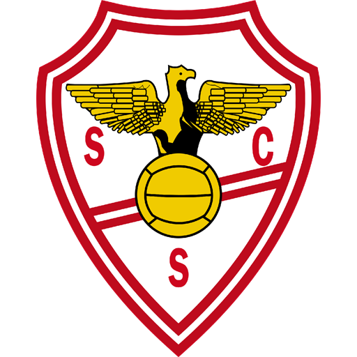 Salgueiros Icon