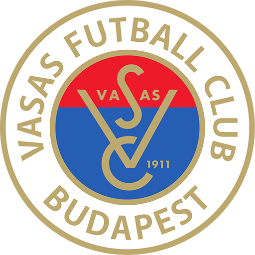 Vasas Icon
