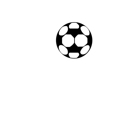 Fakirerpool YMC Logo