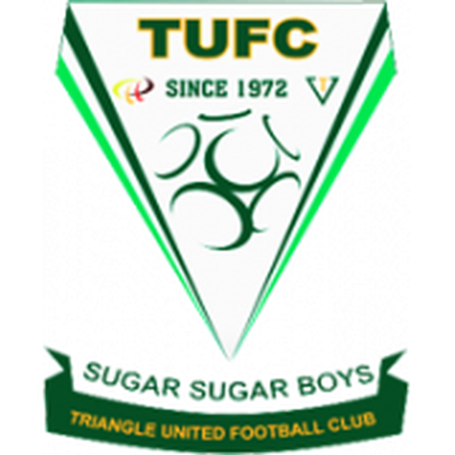Triangle United Icon