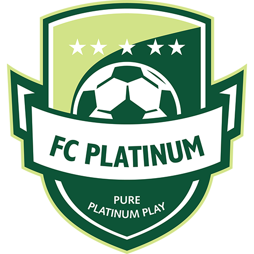 Platinum Icon