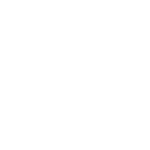 Dinamo Tbilisi Youth Icon