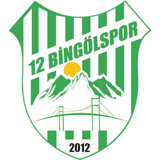 12 Bingölspor Logo